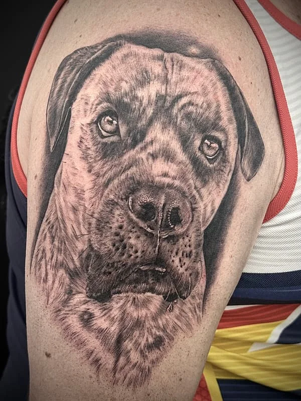 Ash portfolio 1