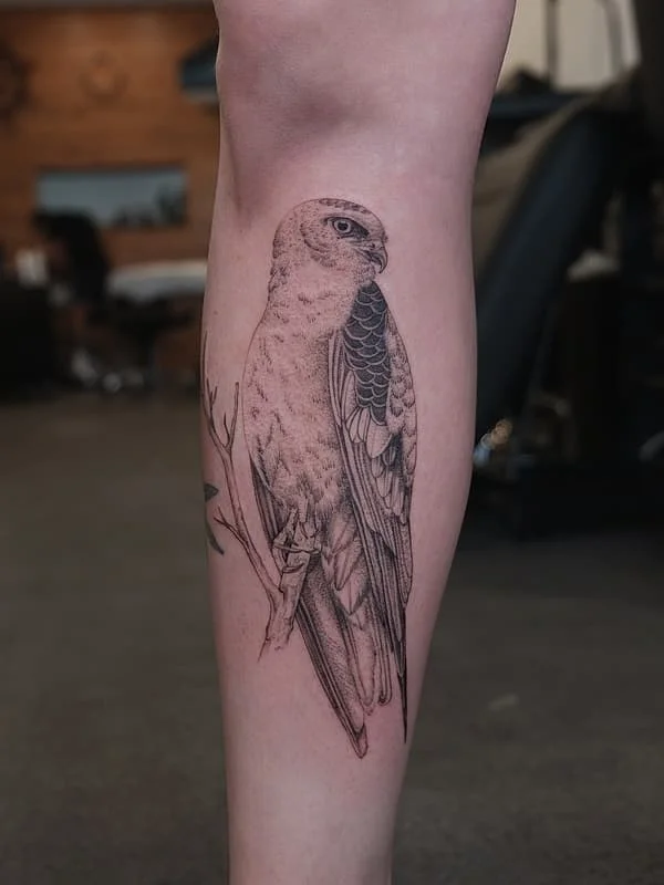 Realistic bird tattoo on a calf.