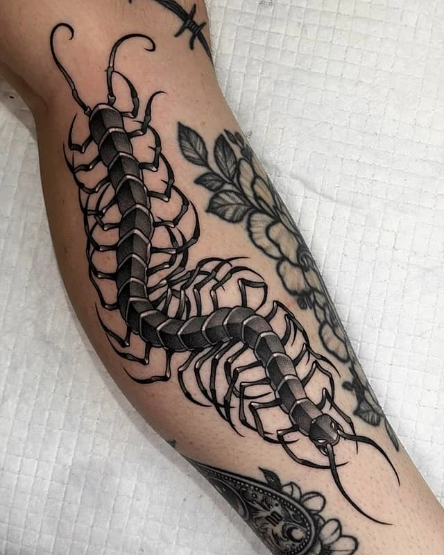 Black-and-grey scorpion tattoo on forearm.