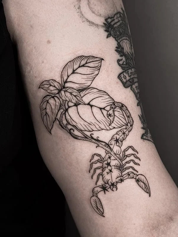 Blackwork scorpion and leaf tattoo on arm.