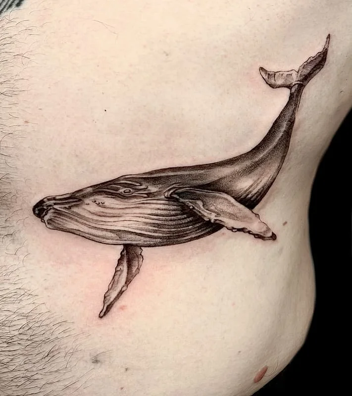 Realistic black-and-grey whale tattoo on rib.