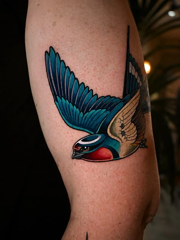 Colorful swallow tattoo on the arm.