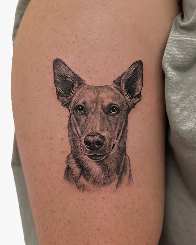 Realistic dog tattoo on upper arm.