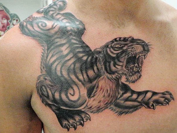 Realistic black-and-grey tiger tattoo on chest.