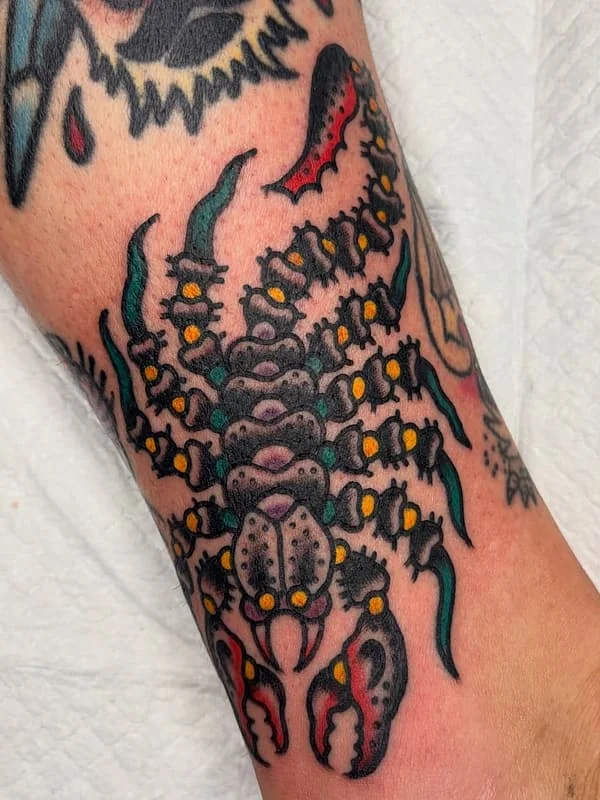 Colorful scorpion tattoo on a forearm.