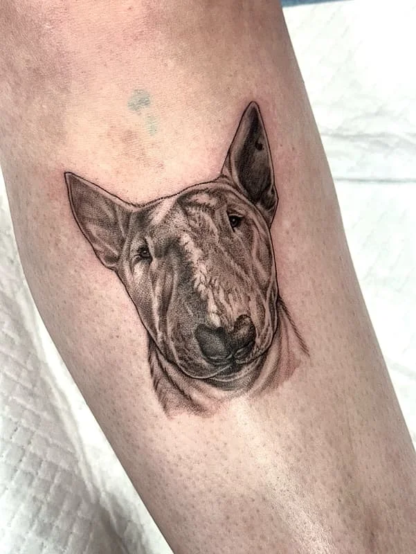 Realistic bull terrier tattoo on calf.