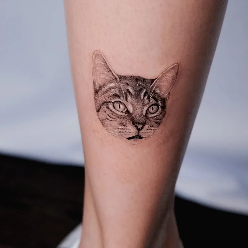 Realistic cat tattoo on a calf.