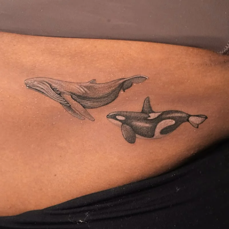 Realistic black-and-grey tattoo of two whales on rib.