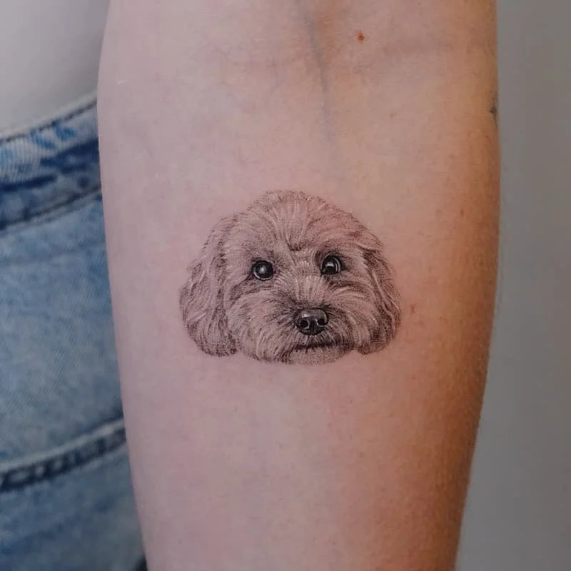 Realistic dog portrait tattoo on forearm.
