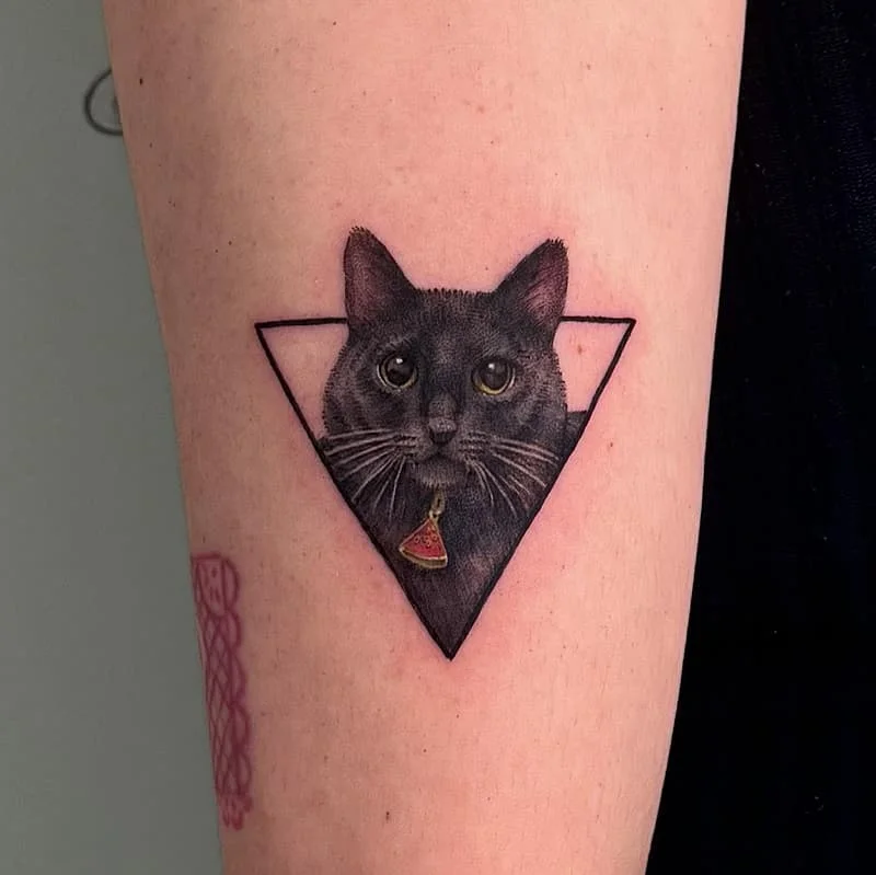 Realistic cat tattoo in a triangle on an arm.