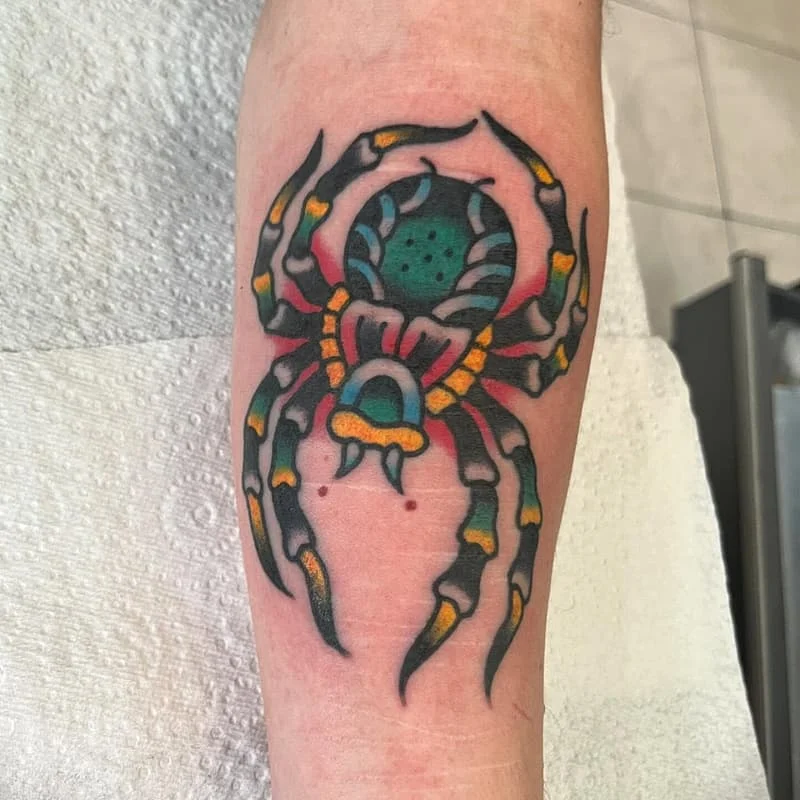 Colorful traditional spider tattoo on forearm.