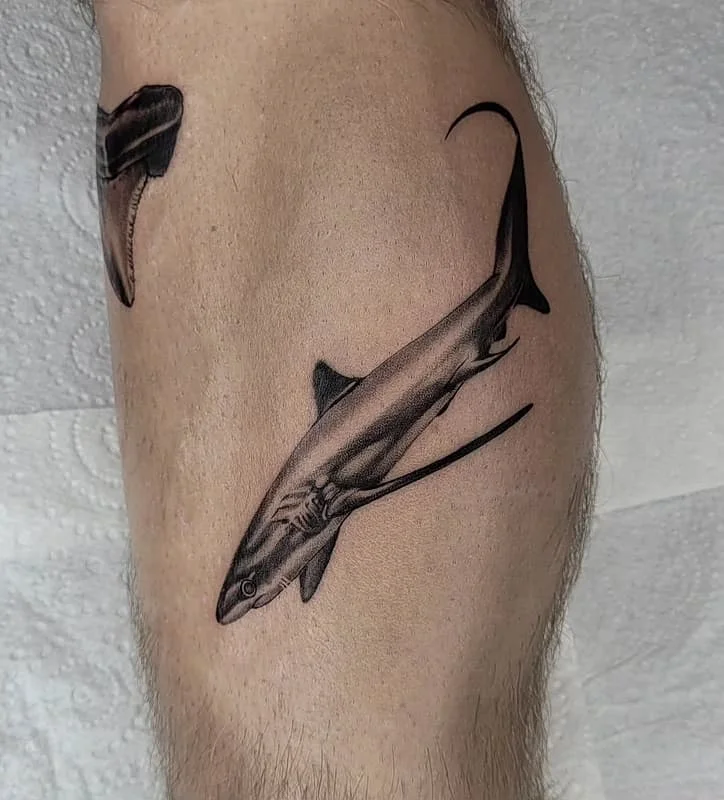Realistic shark tattoo on a leg.